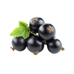 Blackcurrant