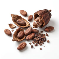 Cocoa Beans