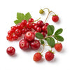 Red berries
