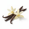 Vanilla